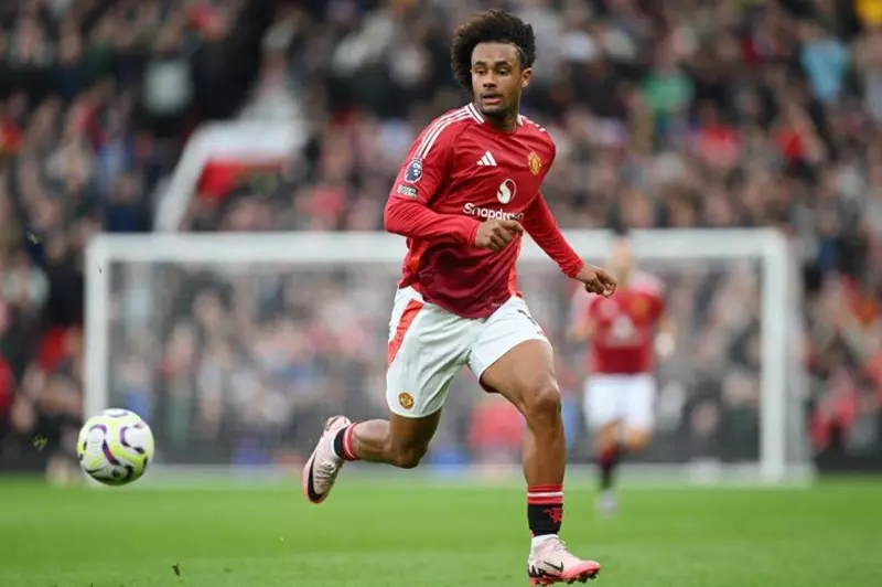 جوشوا زيركزي